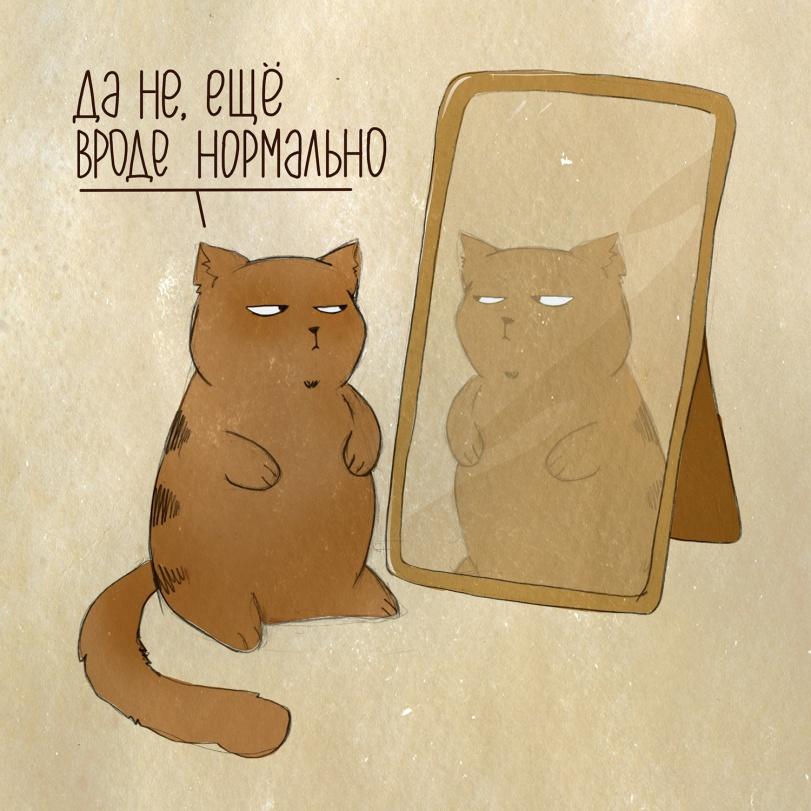 White Box,Смешные комиксы,веб-комиксы с юмором и их переводы
