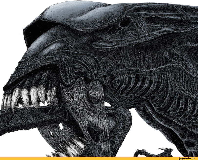by Tatsu,Alien Queen,Королева, Матка,Xenomorph,Alien, Ксеноморф, Чужой,AVP,Вселенная Чужих и Хищников, Aliens vs. Predator, Чужой против Хищника,нарисовал сам