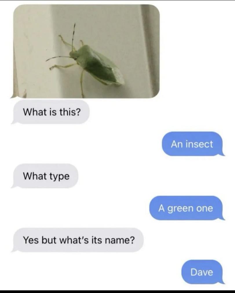 ﻿What is this? rA . An insect What type green one Yes but what's its name?,funny pictures,insect,Прикольные картинки,Насекомое,клоп