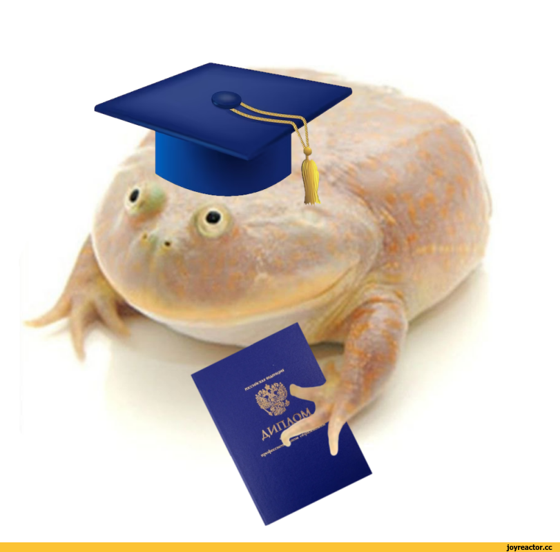 it's wednesday my dudes,среда,диплом,коврик для мыши,песочница