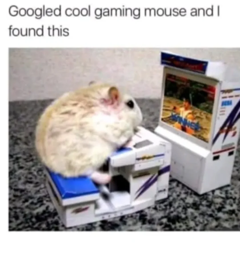 ﻿Googled cool gaming mouse and I found this,meme,без перевода,мышь,компьютер,песочница,memes,,,sandbox