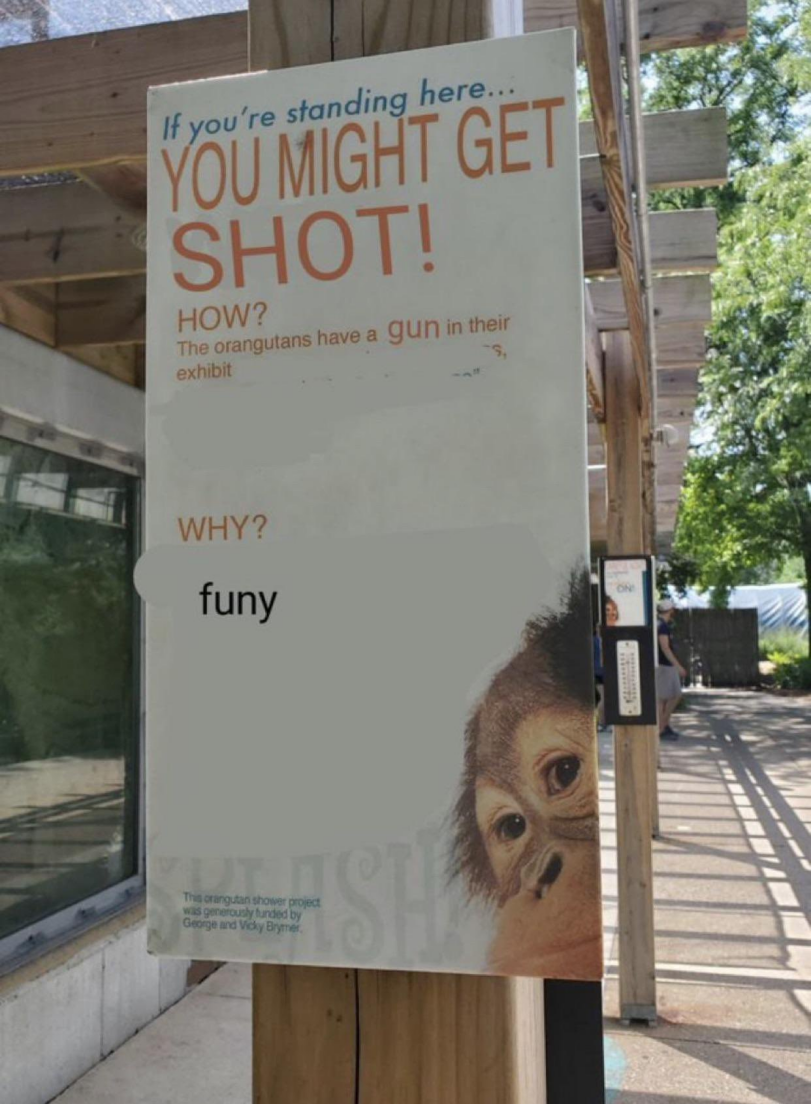 ﻿WHY? funy ж YÖU'lGflTGET SHOT! Kgul»«h.v.a gun¡n«» exhibit,monkey,guns,pun intended,,guns