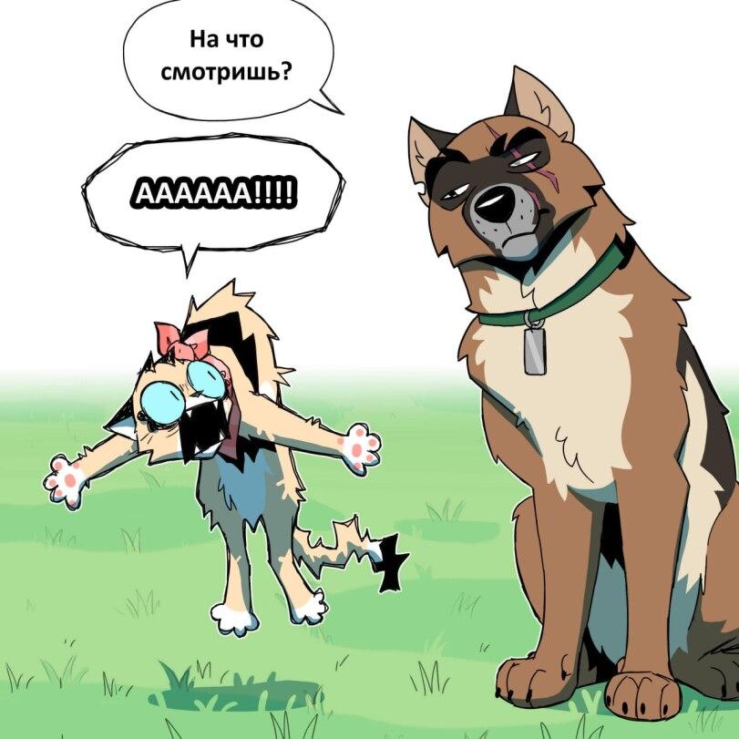 pet_foolery,Смешные комиксы,веб-комиксы с юмором и их переводы,Брут и Пикси