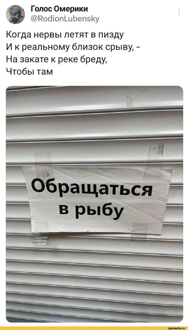 ﻿Голос Омерики @РосПоп1_иЬеп5ку Когда нервы летят в пизду И к реальному близок срыву, -На закате к реке бреду, Чтобы там,twitter,интернет,твиттерские шутники,Вижу Рифмы,ненормативная лексика
