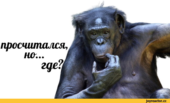 ﻿просчитался, на... где?