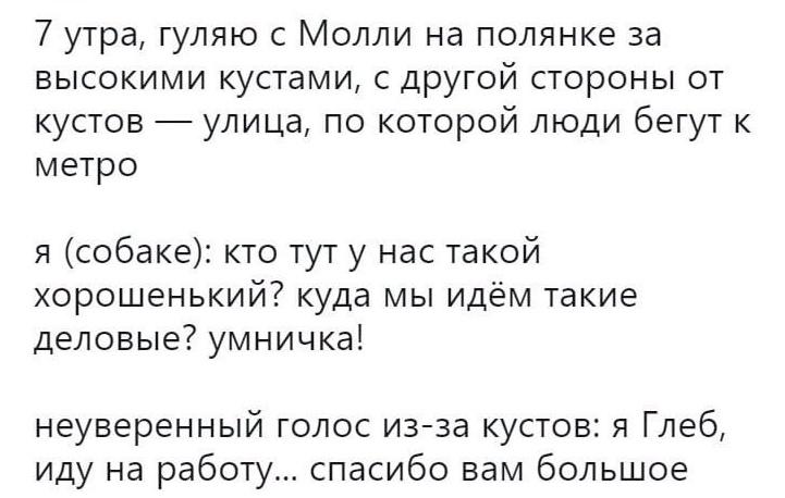﻿7 утра, гуляю с Молли на полянке за высокими кустами, с другой стороны от кустов — улица, по которой люди бегут метро я (собаке): кто тут у нас такой хорошенький? куда мы идём такие деловые? умничка! неуверенный голос из-за кустов: я Глеб, иду на работу... спасибо вам большое