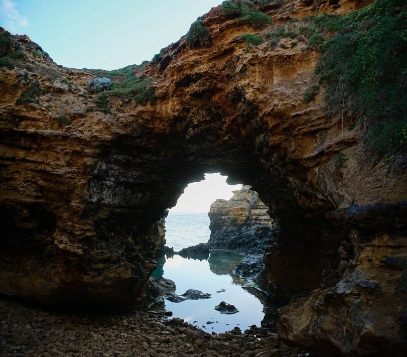 ﻿• уйм f jt* « "i,Австралия,страны,путешествие,кругосветка,introverted_travel,много фото,много текста,длиннопост,автостоп,коала,пингвины,очень много фото,очень много текста,очень длиннопост,видео,video