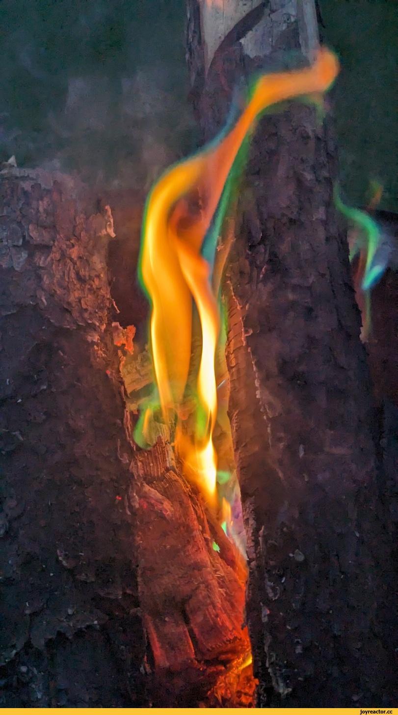 Костер,пламя,химия,наука,песочница