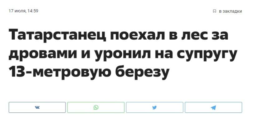 ﻿Татарстанец поехал в лес за дровами и уронил на супругу 13-метровую березу,Татарстан,Россия,страны,13,заголовки