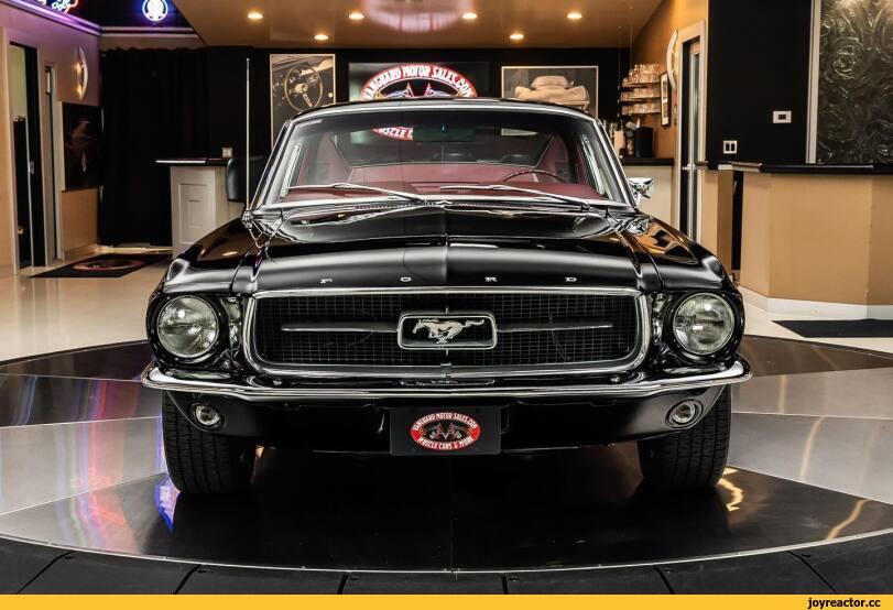 авто приколы,Muscle car,Ford Mustang,@vanguardmotors,длиннопост,webm,гиф анимация,гифки - ПРИКОЛЬНЫЕ gif анимашки,,Muscle car,Ford Mustang,,@vanguardmotors,,,gif,long post