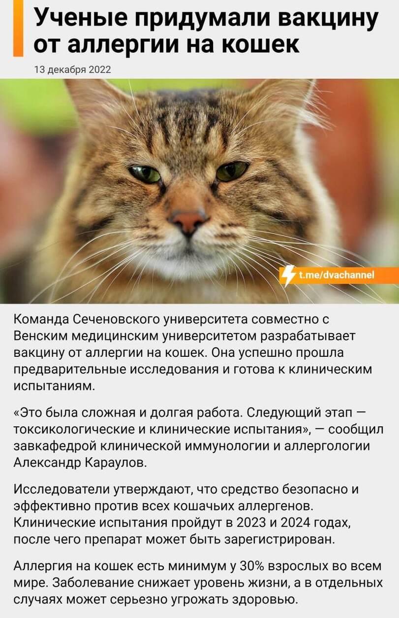 ﻿Ученые придумали вакцину от аллергии на кошек 13 декабря 2022 Команда Сеченовского университета совместно с Венским медицинским университетом разрабатывает вакцину от аллергии на кошек. Она успешно прошла предварительные исследования и готова к клиническим испытаниям. «Это была сложная и долгая