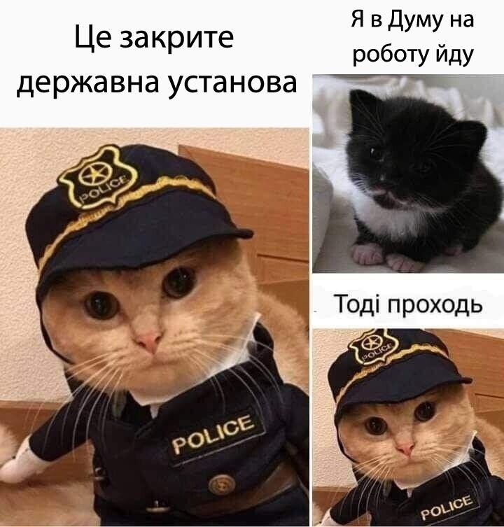 госдума,не та,не политота,Российская Империя,20 век,История,Cat_Cat,vk,интернет Це закрите державна установаЯ в Думу на роботу йдуТ0Д1 проходь,госдума,не та,не политота,Российская Империя,20 век,История,Cat_Cat,vk,интернет