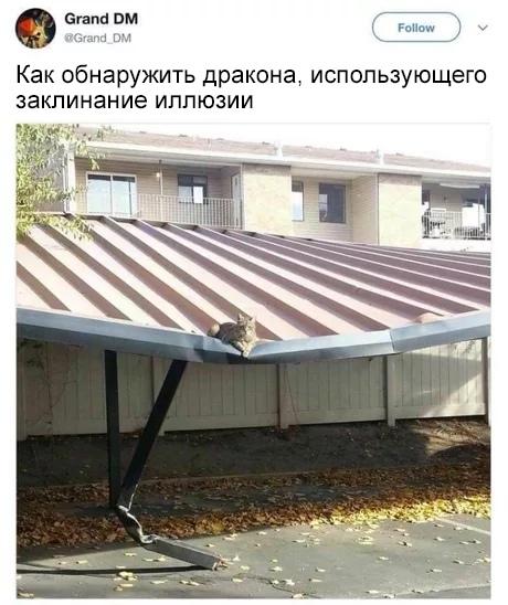 ﻿Grand DM «Grand DM ( Follow Как обнаружить дракона, использующего заклинание иллюзии,дракон,twitter,интернет,древнее зло,котэ,прикольные картинки с кошками,Баян,баян, боян, баяны, бояны, баянище, боянище