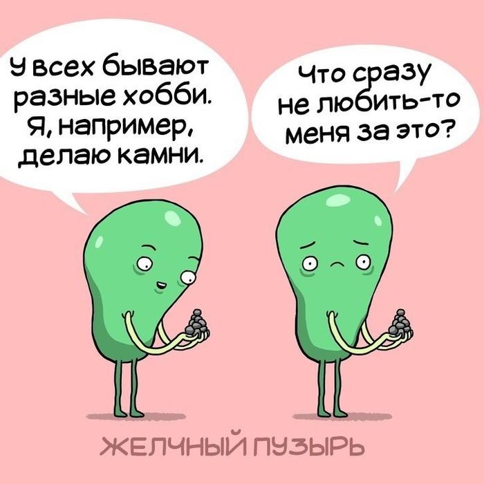 ﻿У всех бывают разные хобби. Я, например, делаю камни.Что сразу не любить-то меня за это?ЖЕЛЧНЫЙ,иллюстрация,организм,картинки с текстом,мозг,сердце,печень,кишки,органы,Леонид Кхан