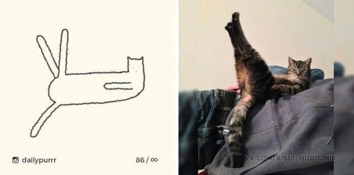 ﻿® dailypurrr 86/оо,котэ,прикольные картинки с кошками,живность,исскуство,вотермарки,dailypurrr