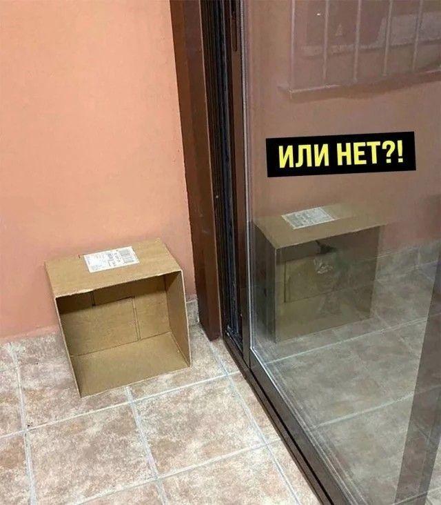 кот шрёдингера,длиннопост
