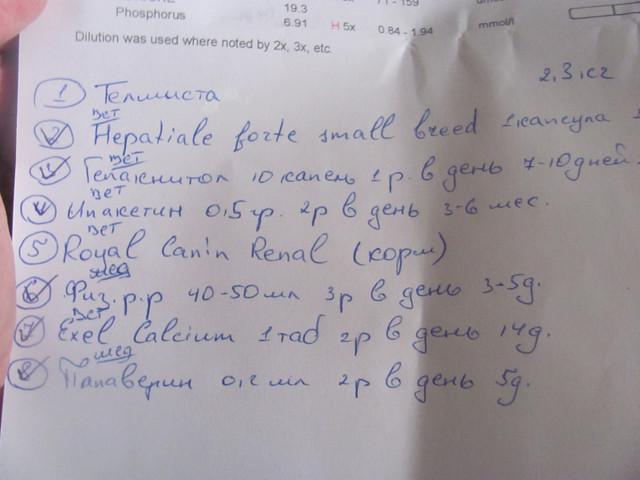 ﻿1 * 13» Phosphorus 19 3 6 91 Oilution was used where noted by 2x. 3x H5x 0 84 -«, 94 rr*rno*/1 xzz. . etc ¿.2 C~T^) T?Au^-UCTCk ® Wepal.afe /»./< J Cg5 r«.®5 M AlC n>e*r ! I £ /¿? ,c<a^ o«^ if p> 6" * •T y O £h b S - 6 ^ec , £ena^ (co^-J 5-g. •SOux\ 3 p £ •\ / Tat/ 2- |P 6