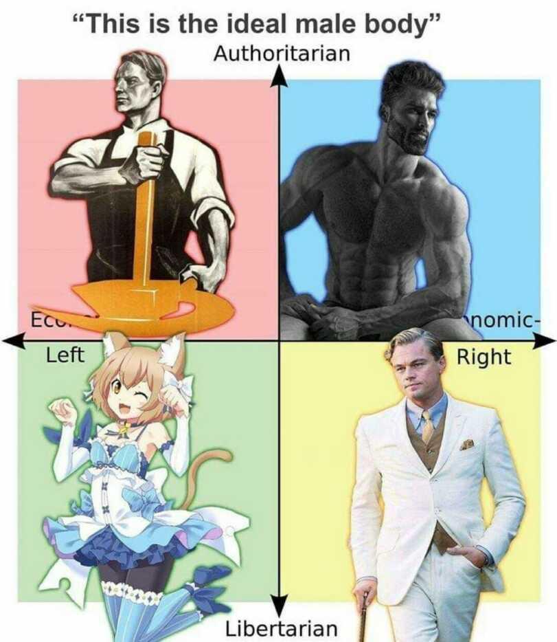 ﻿This is the ideal male body’ Authoritarian omic Libertarian,политические координаты,мужественность