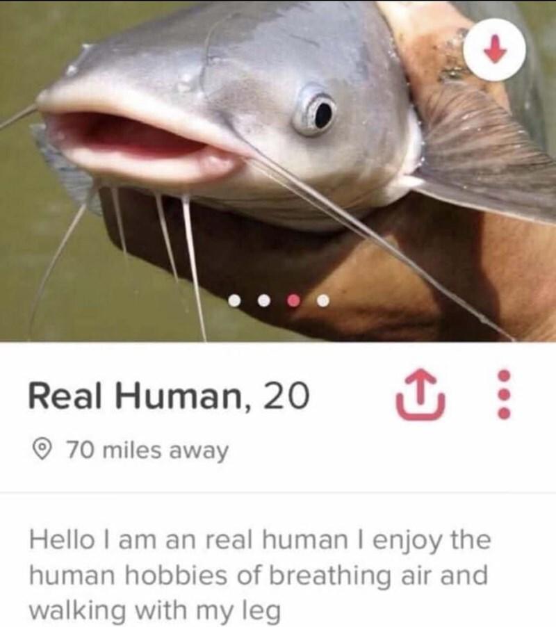 ﻿Real Human, 20 {Tj • 70 miles away Hello I am an real human I enjoy the human hobbies of breathing air and walking with my leg,сайты знакомств,сом,рыба,catfish,