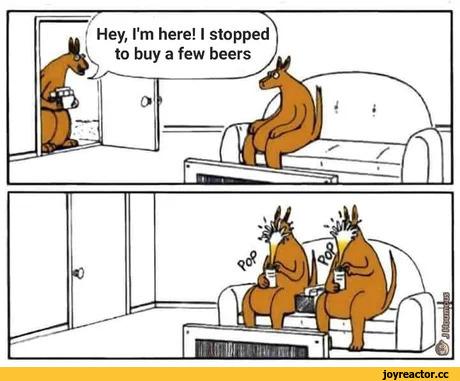 смищная картинка,кенгуру,пиво,бухло,без перевода,alcohol,kangaroo,,alcohol,drink,алкоголь