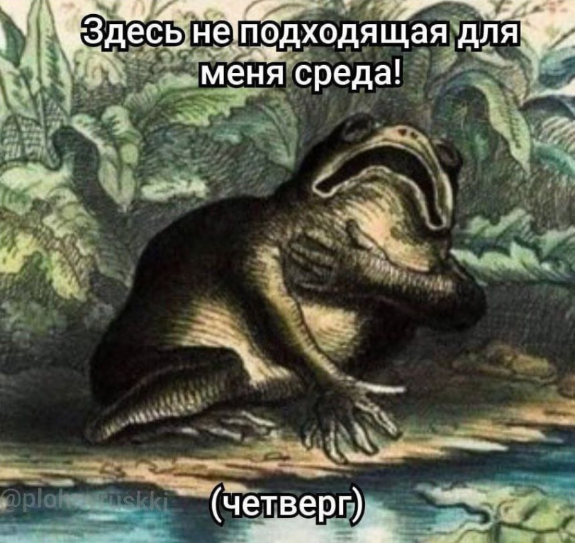 среда мои чуваки,среда,четверг,it's wednesday my dudes