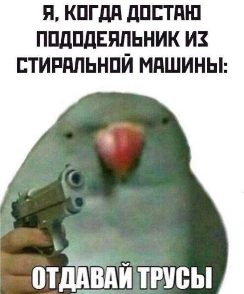 ﻿Я. КОГДА ДОСТАЮ ПОДОДЕЯЛЬНИК MZ СТИРАЛЬНОЙ МАШИНЫ:,стирка,пододеяльник,Трусы