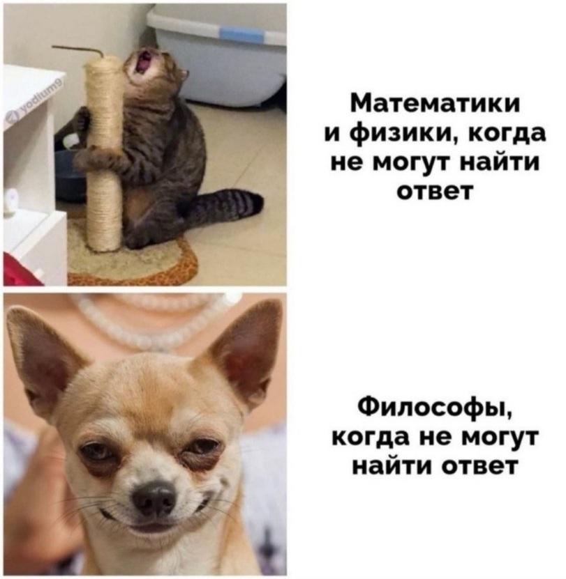 ﻿Математики и физики, когда не могут найти ответ Философы, когда не могут найти ответ,технари,гуманитарии,математики,физики,философы,ответ