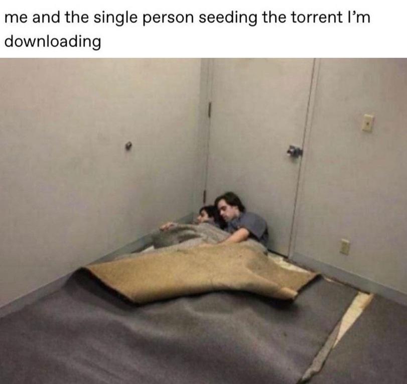 ﻿me and the single person seeding the torrent I’m downloading,торренты