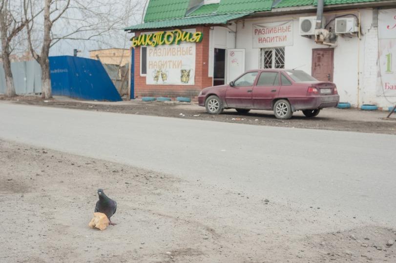 эстетика ебеней,бар,магазин