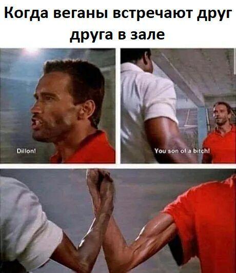 ﻿Когда веганы встречают друг друга в зале,Arnold Schwarzenegger,Актеры и Актрисы,Знаменитости,Predator (фильм),Хищник,AVP,Вселенная Чужих и Хищников, Aliens vs. Predator, Чужой против Хищника,Мемы,Мемосы, мемасы, мемосики, мемесы,веганы,тренажёрный зал