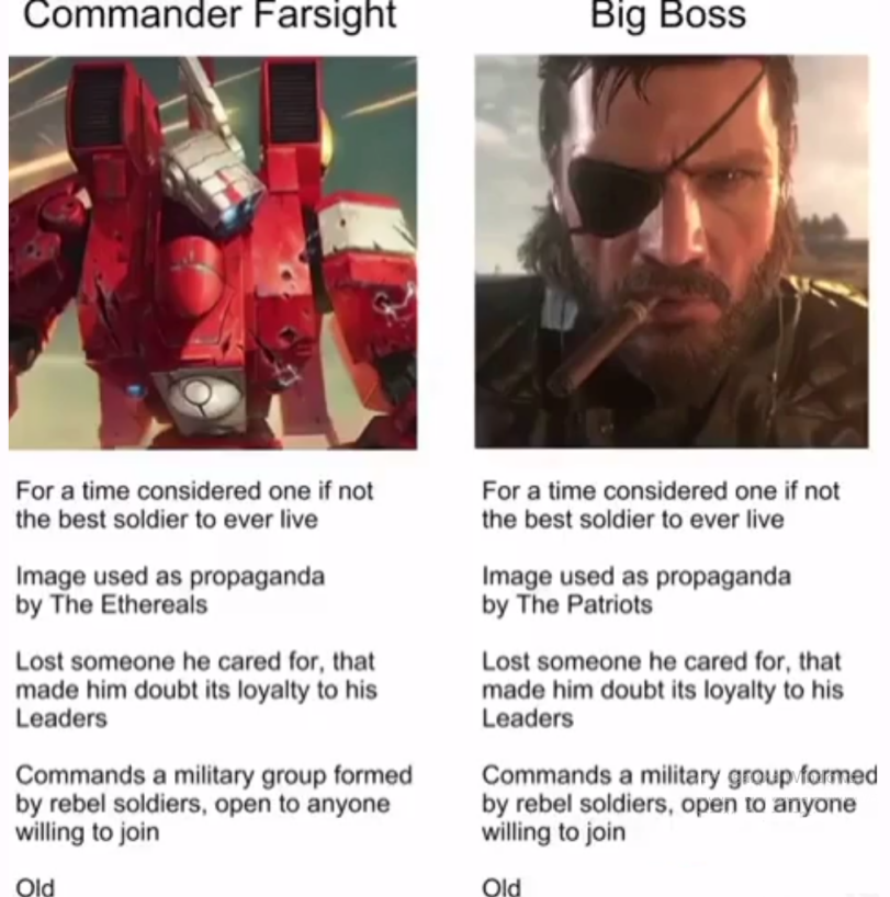 ﻿Commander Farsight For a time considered one if not the best soldier to ever live Image used as propaganda by The Ethereals Lost someone he cared for, that made him doubt its loyalty to his Leaders Commands a military group formed by rebel soldiers, open to anyone willing to join Big Boss