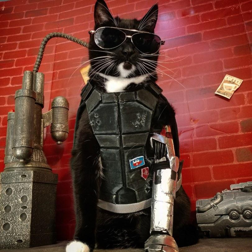 ﻿Ш н+.г.* ШШЩШ 4V*î'\j •о£<г -■/О-Л: i,Cyberpunk 2077,Игры,котэ,прикольные картинки с кошками,cosplay,cat cosplay,Cyberpunk 2077,games,cats,cosplay,cat cosplay