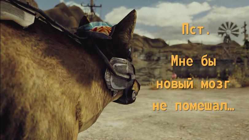 Fallout New Vegas,Fallout,Фоллаут,фэндомы,Arcade Gannon,Fallout персонажи,Fallout компаньоны, ,вероника,Craig Boone,Boone,лили,Рауль (Fallout),рекс,ЭД-Э,Смешные комиксы,веб-комиксы с юмором и их переводы,Fallout комикс,Rex (Fallout)