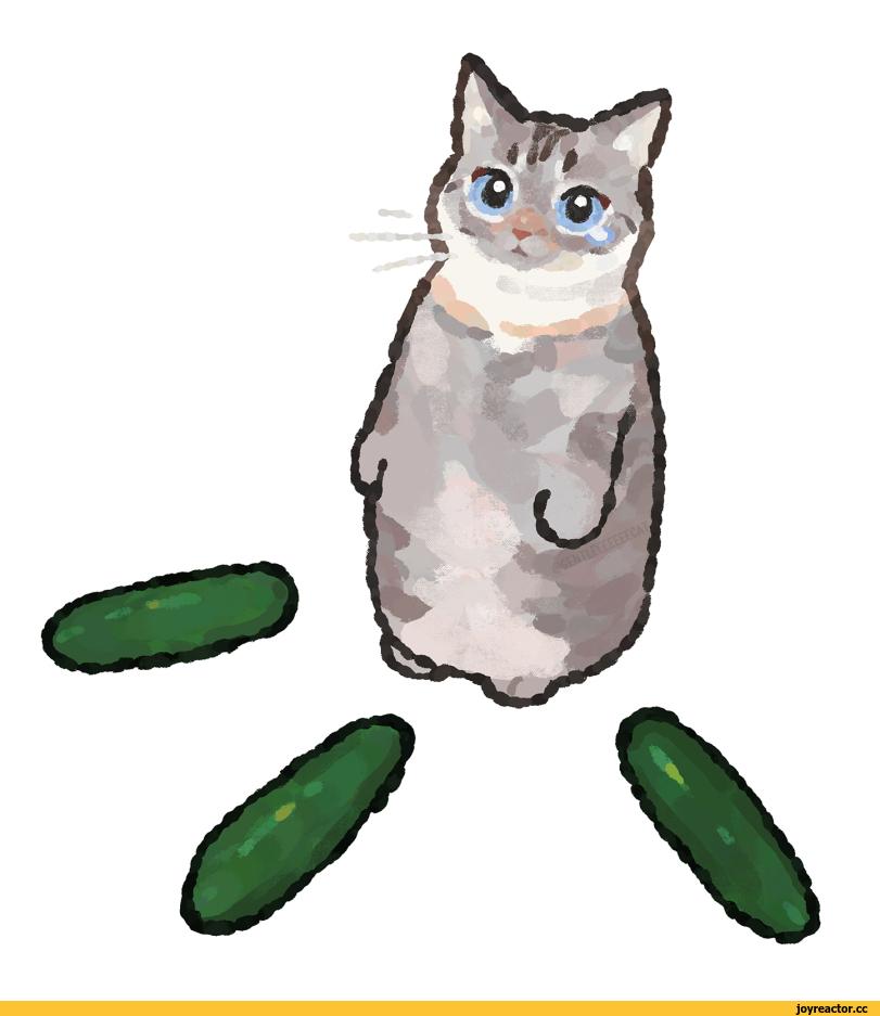 GENTLECAT,artist,кот,Огурцы,окружение,арт,перерисовка,GENTLECAT,artist,cats,art