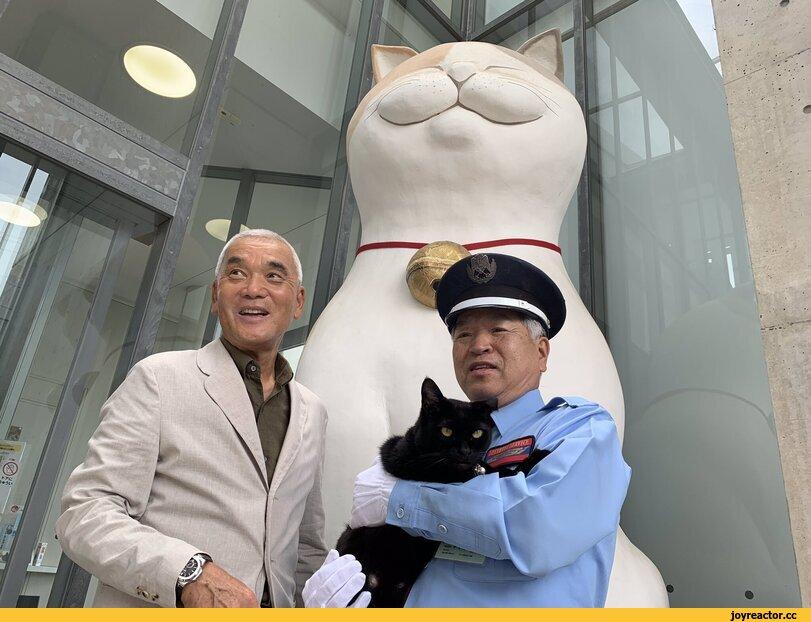 Iwago Mitsuaki,Ономити,Кен Чан и Гоу Чан,котэ,прикольные картинки с кошками,хорошее настроение,длиннопост,гиф анимация,гифки - ПРИКОЛЬНЫЕ gif анимашки
