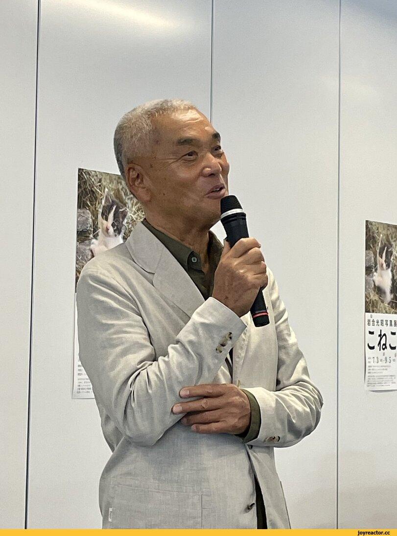 Iwago Mitsuaki,Ономити,Кен Чан и Гоу Чан,котэ,прикольные картинки с кошками,хорошее настроение,длиннопост,гиф анимация,гифки - ПРИКОЛЬНЫЕ gif анимашки