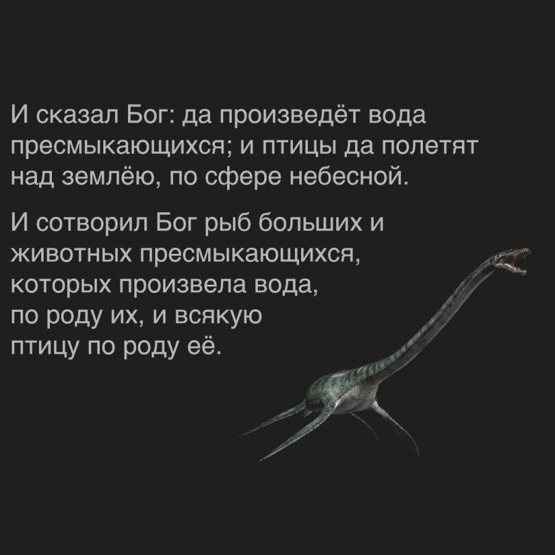 ﻿И сказал Бог: да произведёт вода пресмыкающихся; и птицы да полетят над землёю, по сфере небесной. И сотворил Бог рыб больших и животных пресмыкающихся, которых произвела вода, по роду их, и всякую птицу по роду её.,Phy6,атеизм,космос