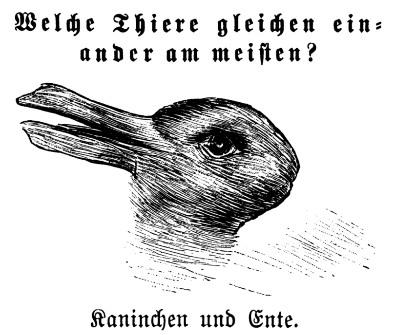 ﻿Sßeldje $$iere gleiten anber am weiften? ^emindjett eins ' ^ unb @nte.,Rappenem,манта,крыса,artist,art,арт,мурена,краб,заяц,кот,муравей,Насекомое,гусеница,animalization,food art