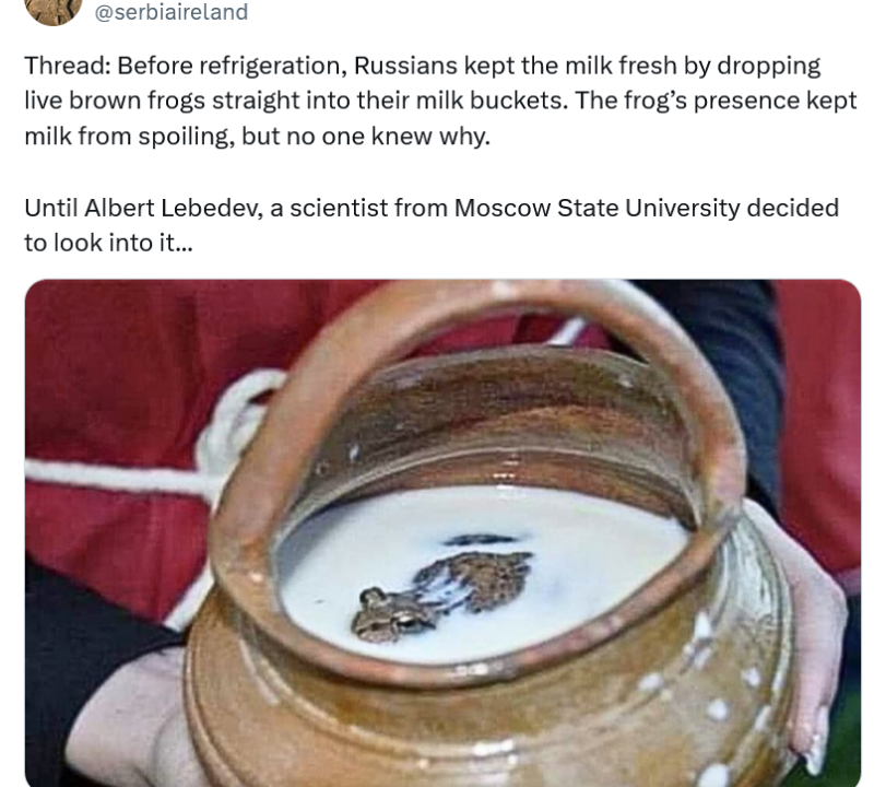 ﻿@serbiaireLand Thread: Before refrigeration, Russians kept the milk fresh by dropping live brown frogs straight into their milk buckets. The frog’s presence kept milk from spoiling, but no one knew why. Until Albert Lebedev, a scientist from Moscow State University decided to look into