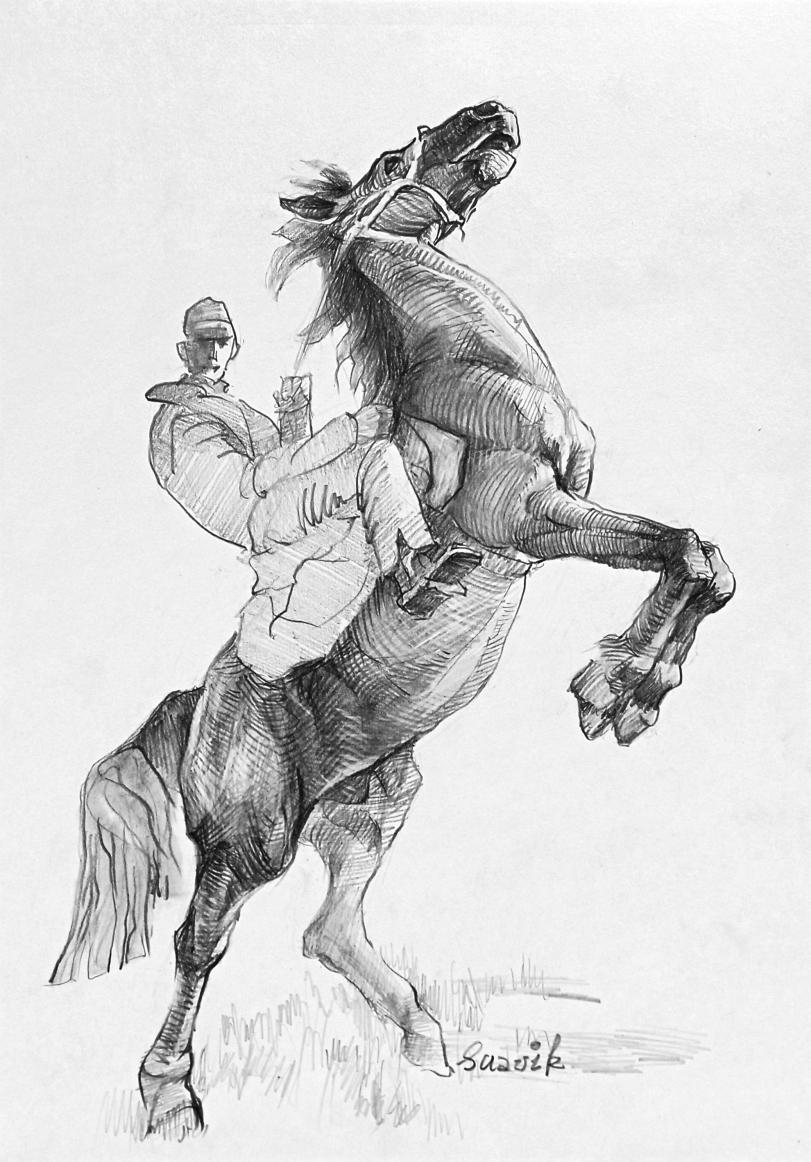 art,арт,sketch,suavik,сам нарисовал,карандаш,конь,art,,suavik,original character,horse