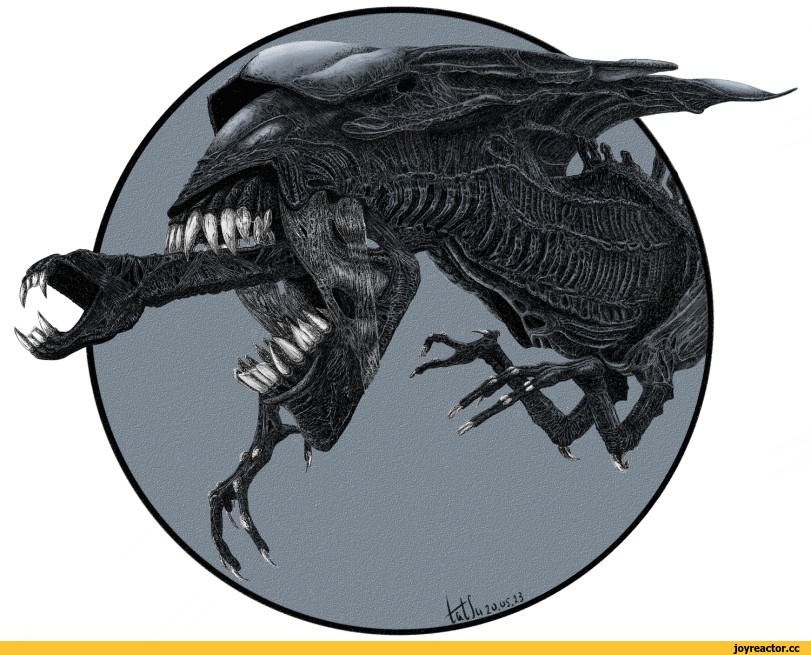 ﻿шлШШЁк,by Tatsu,Alien Queen,Королева, Матка,Xenomorph,Alien, Ксеноморф, Чужой,AVP,Вселенная Чужих и Хищников, Aliens vs. Predator, Чужой против Хищника,нарисовал сам
