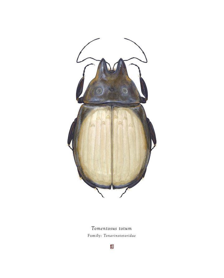 ﻿Tomentosus totumFamily: Tonarinototoridatrgl,Насекомое,art,арт,Jason Voorhees,Pennywise,totoro,Миядзаки,Миядзаки Хаяо, хаяо миядзаки,Anime,Аниме,фэндомы,Batman,Бэтмен, Темный рыцарь, Брюс Уэйн,DC Comics,DC Universe, Вселенная ДиСи,bandai gaeru,длинный пост,Pikachu,Пикачу,Pokedex,Pokemon