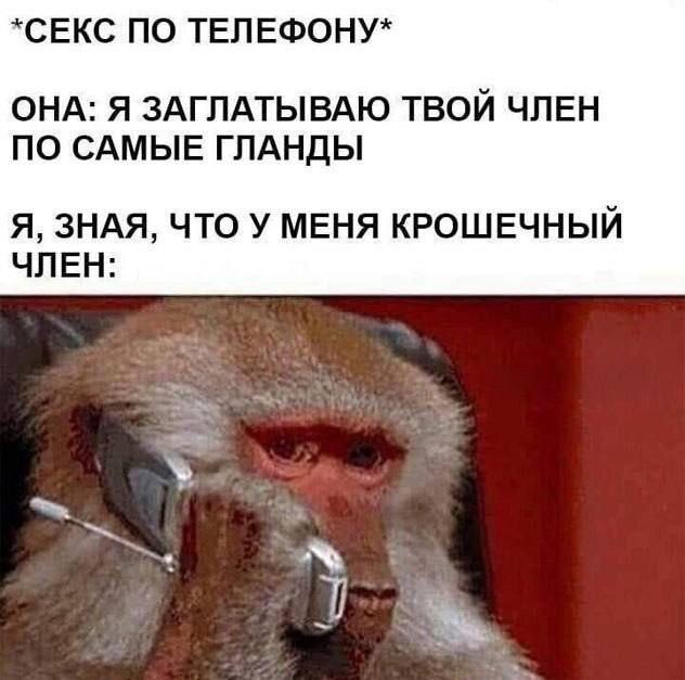 ﻿"СЕКС ПО ТЕЛЕФОНУ* ОНА: Я ЗАГЛАТЫВАЮ ТВОИ ЧЛЕН ПО САМЫЕ ГЛАНДЫ Я, ЗНАЯ, ЧТО У МЕНЯ КРОШЕЧНЫЙ ЧЛЕН:,Приколы для даунов,разное,секс,Член