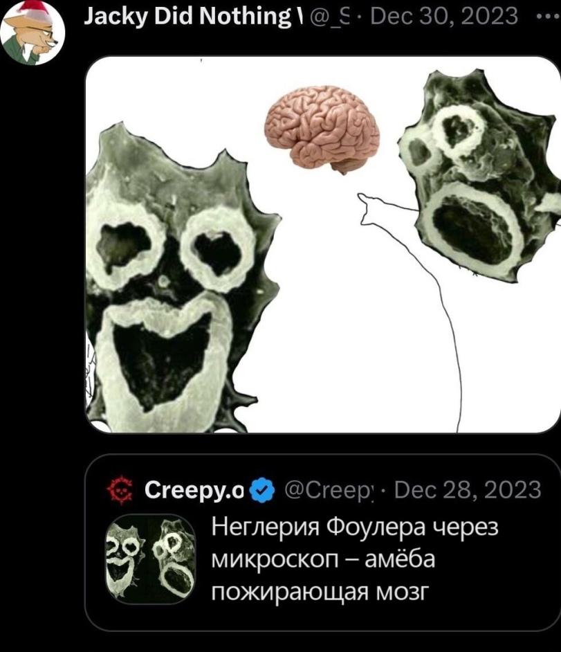 ﻿Creepy.oO @Creep; • Dec 28, 2023 Неглерия Фоулера через микроскоп - амёба пожирающая мозг,приколы для даунов,Soyjak,Wojak,Вояк,Мемы,Мемосы, мемасы, мемосики, мемесы,амеба,удалённое