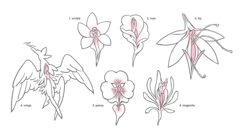 ﻿1. orchid 1 2. rose 3. Illy 6. magnolia,цветы,NSFW,art,арт,flower,NSFW,art,без перевода,_frogmouse