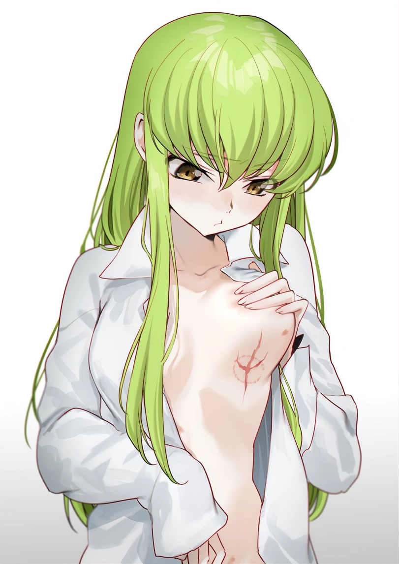 Anime,Аниме,фэндомы,CC,c.c,Code Geass,Код Гиас,Anime Ero,Взрослые Няшки,Creayus,Anime Artist,Аниме арт, Аниме-арт,artist,Anime Unsorted