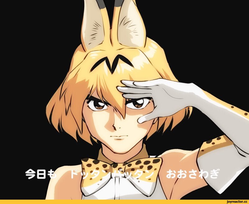 Anime,Аниме,Gundam Wing,Gundam,Mobile Suit Gundam,Serval (Kemono Friends),Kemono Friends,Ueyama Michirou,artist,Anime,fandoms,Gundam Wing,Gundam,serval (kemono friends),kemono friends,Ueyama Michirou,artist,Anime Unsorted,Anime Unsorted