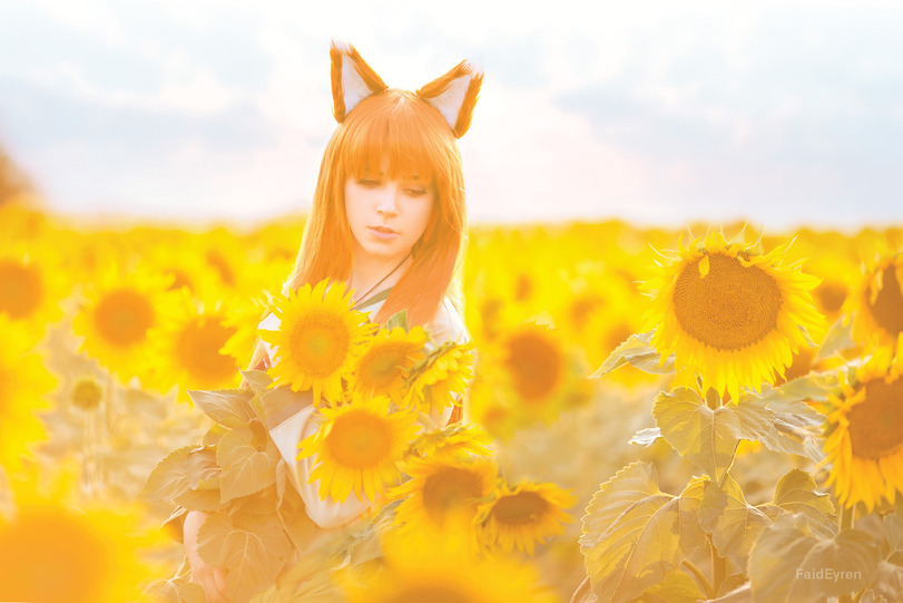 Faid Eyren,Horo,holo, хоро, холо,Spice and Wolf,волчица и пряности, Ookami to Koushinryou,Anime,Аниме,фэндомы,выставка,много фото,фотоотчет,мерч,мерчендайзинг,отаку,Токио,Япония,страны,Mirn (фотограф),Anime Unsorted