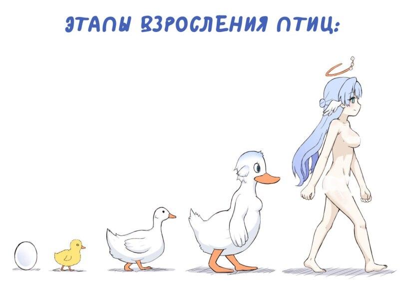 ﻿ЭТАПЫ ВЗРОСЛЕНИЯ ПТИЦ:,GreenTeaNeko,разное,Robin (Honkai Star Rail),Honkai Star Rail,Игры