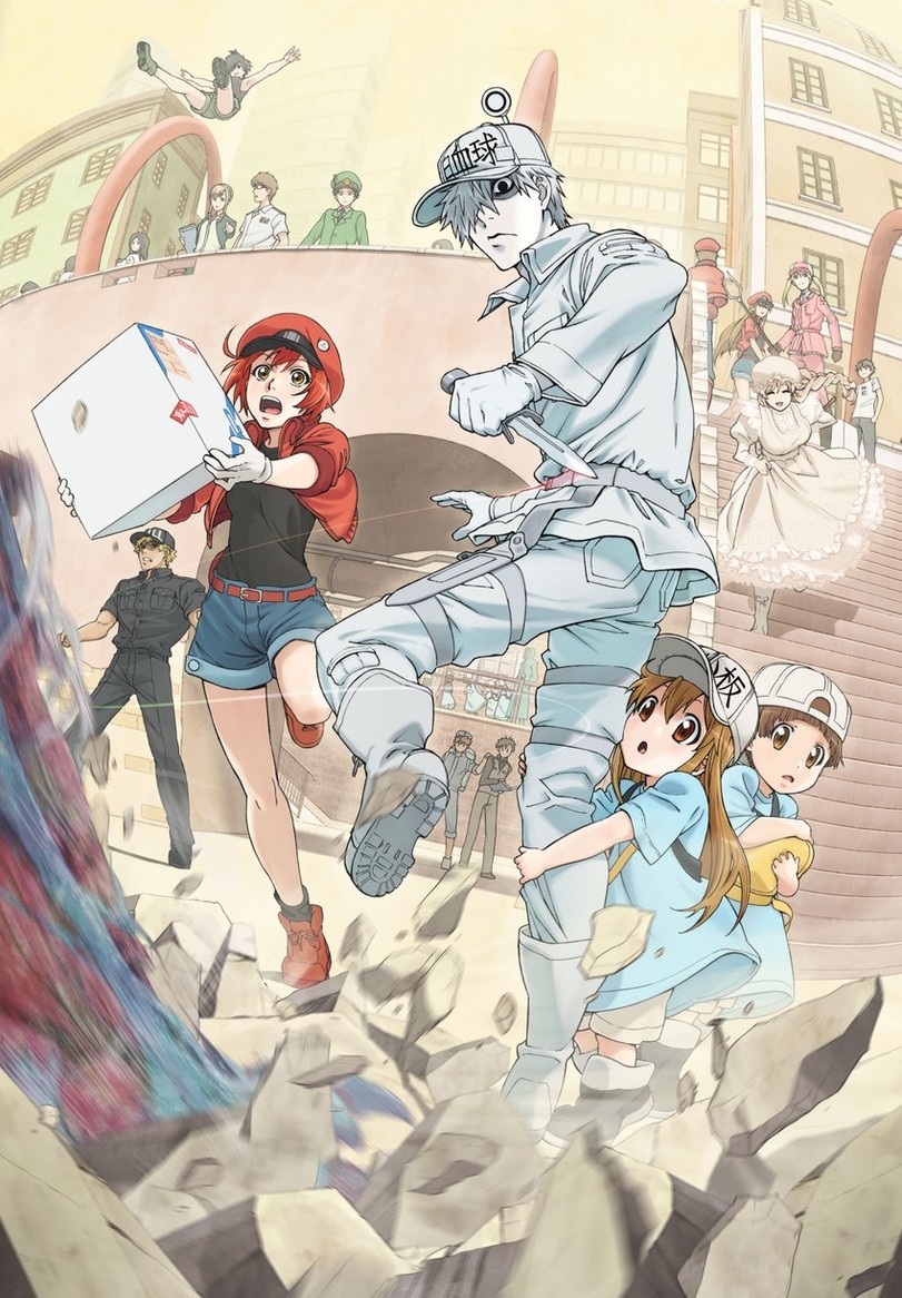 Hataraku Saibou,Anime,Аниме,aa-5100,ae-3803,b cell (hataraku saibou),basophil (hataraku saibou),common cell (hataraku saibou),dendritic cell (hataraku saibou),eosinophil (hataraku saibou),helper t (hataraku saibou),killer t (hataraku saibou),macrophage (hataraku saibou),mast cell,memory cell
